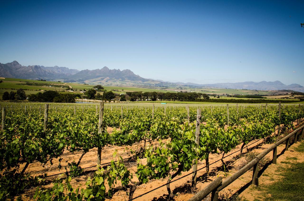 Lavinia Lifestyle Villa Stellenbosch Eksteriør bilde