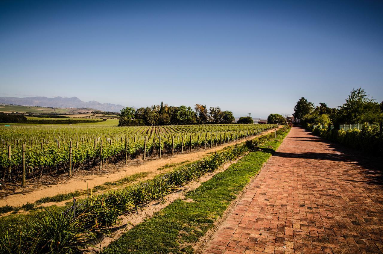 Lavinia Lifestyle Villa Stellenbosch Eksteriør bilde